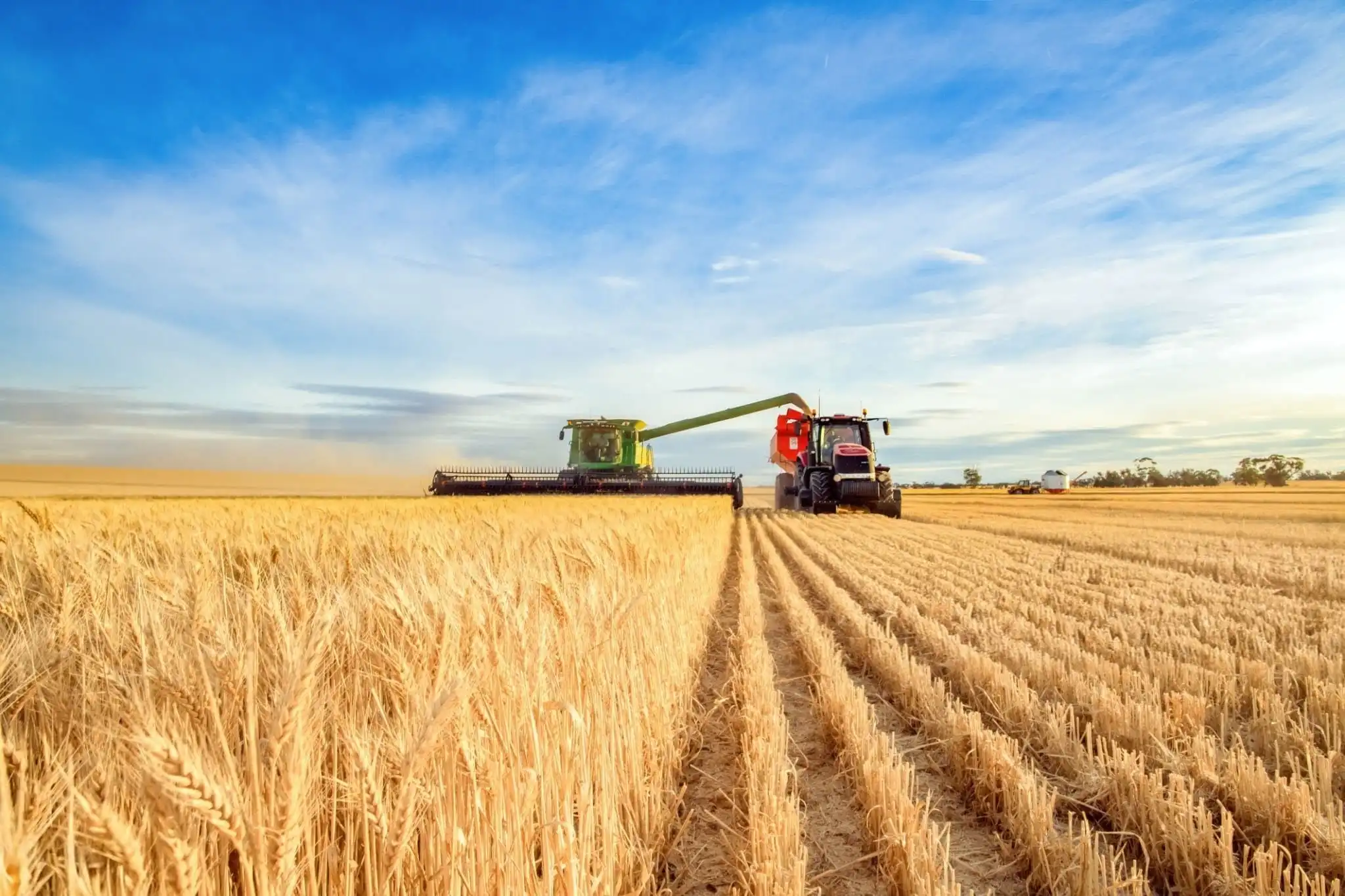 What Buyers Look for When Sourcing Ghanaian Agro Commodities