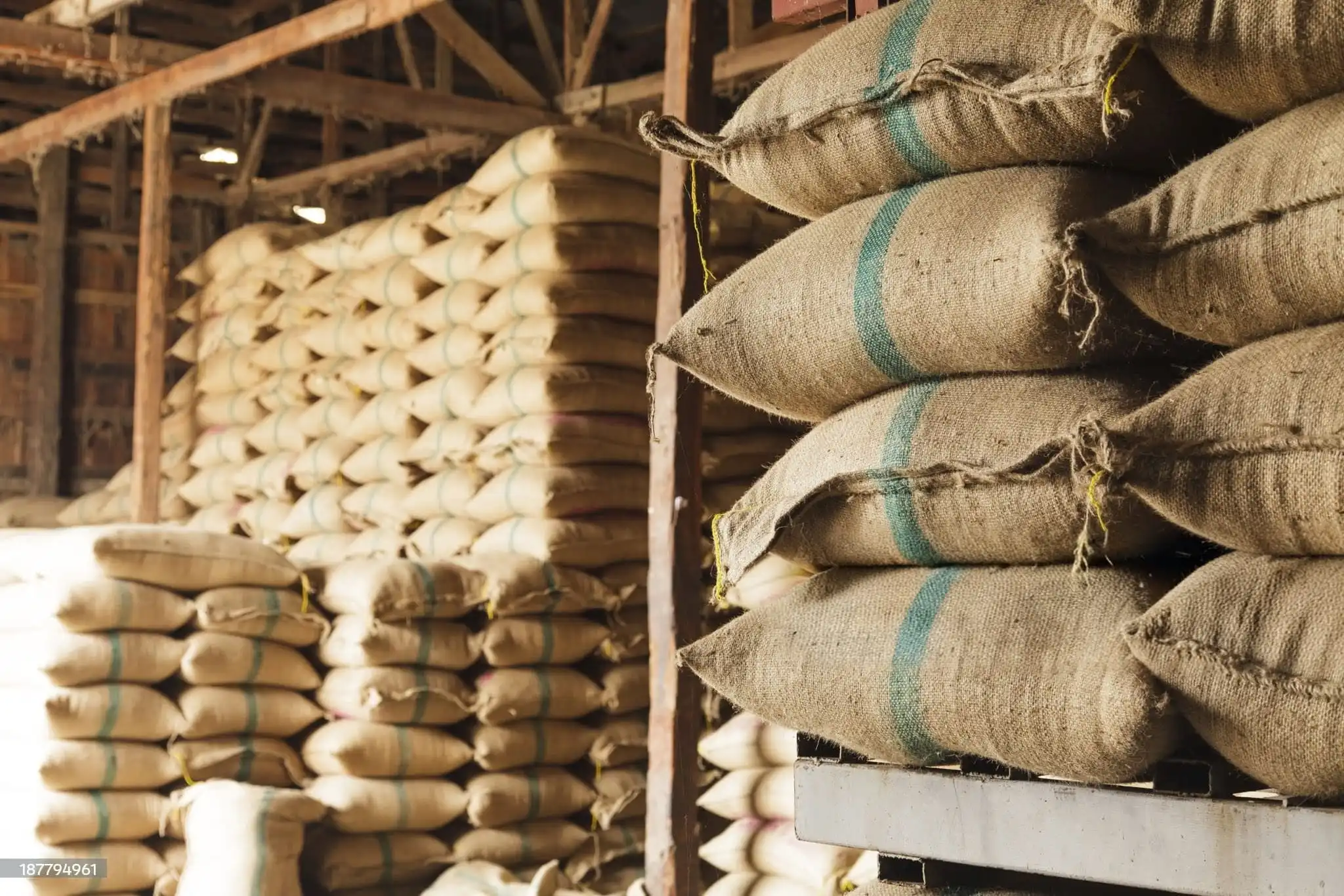 Soybean commodity supply